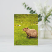 Capybara Postkarte (Stehend Vorderseite)