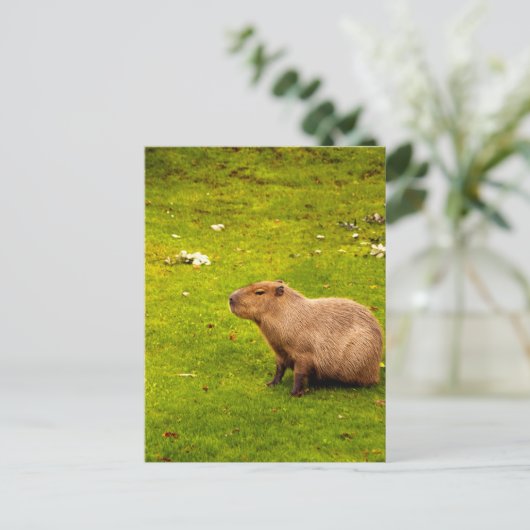 Capybara Postkarte (Stehend Vorderseite)