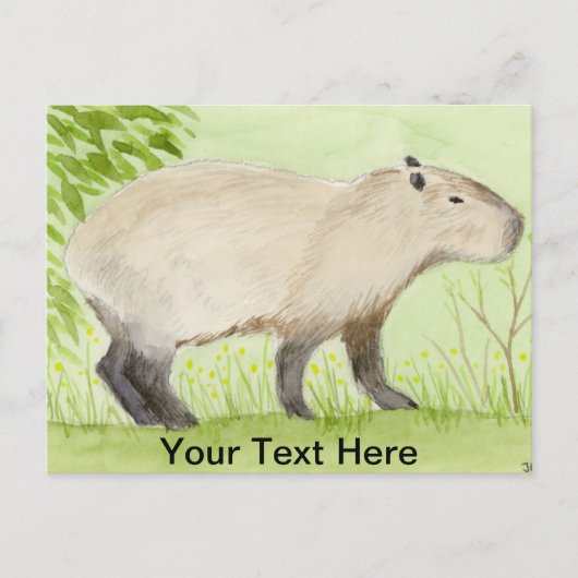 Capybara Postkarte (Vorderseite)
