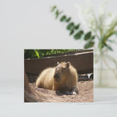 Capybara Postkarte (Stehend Vorderseite)