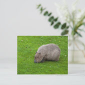 Capybara-Postkarte Postkarte (Stehend Vorderseite)