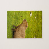 Capybara Puzzle (Horizontal)