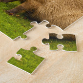 Capybara Puzzle (Seite)