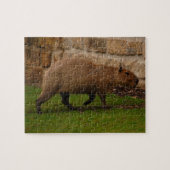 Capybara Puzzle (Horizontal)