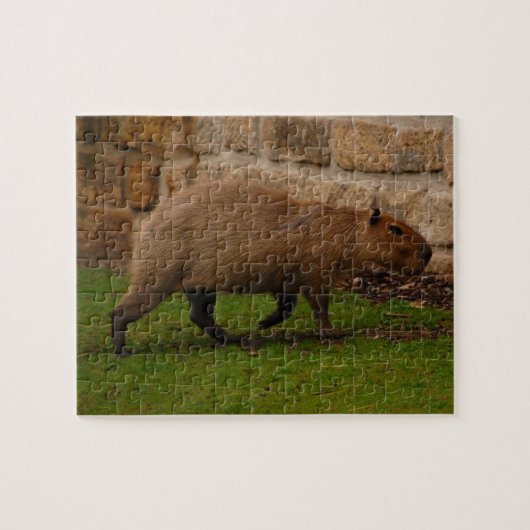 Capybara Puzzle (Horizontal)