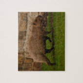 Capybara Puzzle (Vertikal)