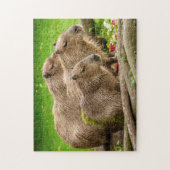 Capybara Puzzle (Vertikal)