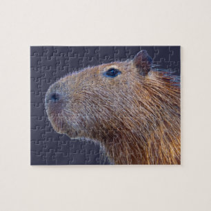 Capybara Puzzle