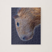 Capybara Puzzle (Vertikal)