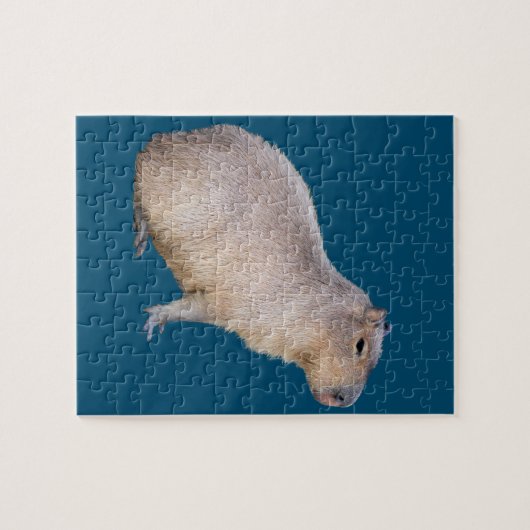 Capybara Puzzle (Horizontal)