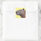Capybara Quadratischer Aufkleber (Tasche)
