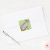 Capybara Quadratischer Aufkleber (Umschlag)