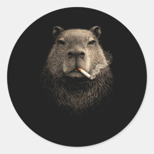 Capybara Rauch-Meme lustig retro vintage Ästhetik Runder Aufkleber