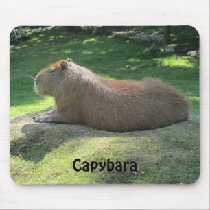 Capybara - Riesennagetier Mousepad