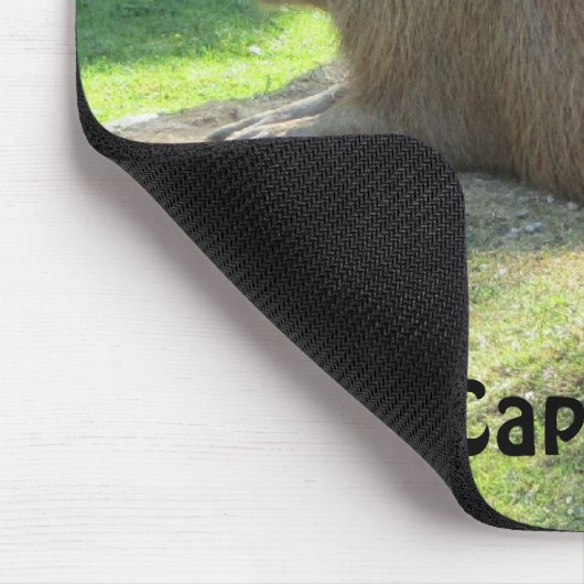 Capybara - Riesenrodent Mousepad (Ecke)