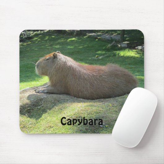 Capybara - Riesenrodent Mousepad (Mit Mouse)