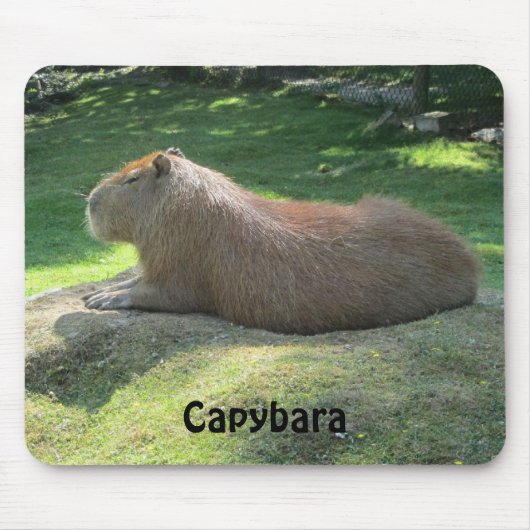 Capybara - Riesenrodent Mousepad (Vorne)