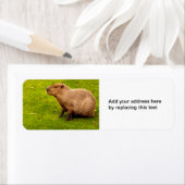 Capybara-Rücksendeadressen-Aufkleber (Insitu)