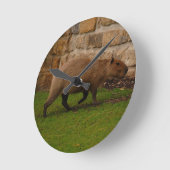 Capybara Runde Wanduhr (Winkel)