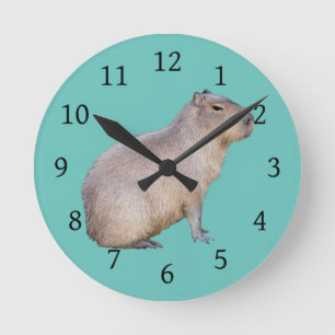 Capybara Runde Wanduhr