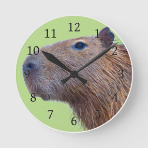 Capybara Runde Wanduhr