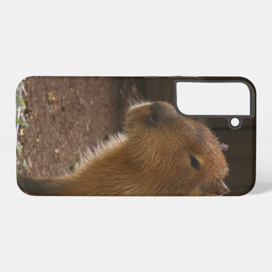 Capybara Samsung Galaxy Hülle (Rückseite (Horizontal))