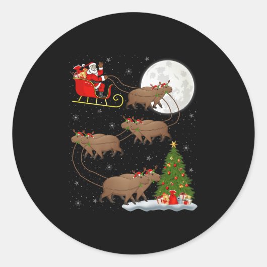 Capybara Santa Sleigh Flying Funny Magical Christm Runder Aufkleber (Vorderseite)