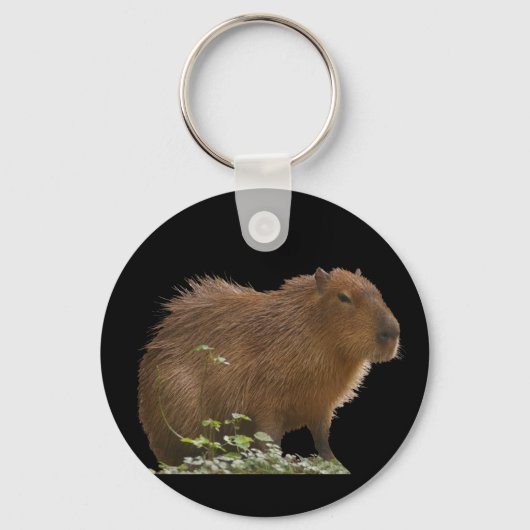 Capybara Schlüsselanhänger (Vorderseite)