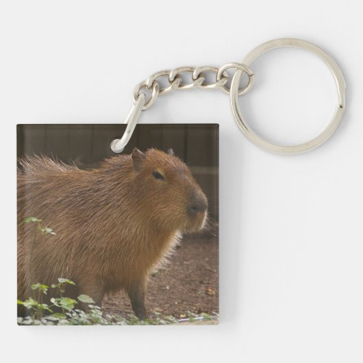 Capybara Schlüsselanhänger (Rückseite)