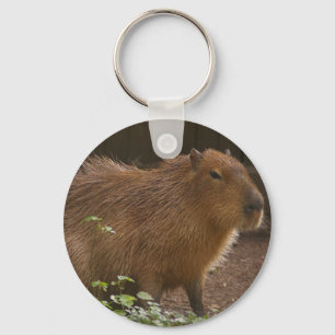 Capybara Schlüsselanhänger