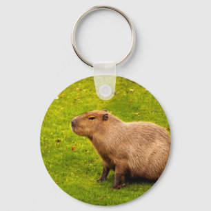 Capybara Schlüsselanhänger