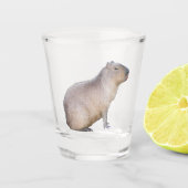 Capybara Schnapsglas (Vorderseite)