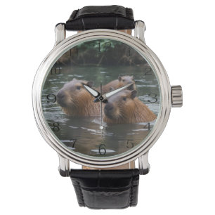 Capybara schwimmen im Fluss, Armbanduhr