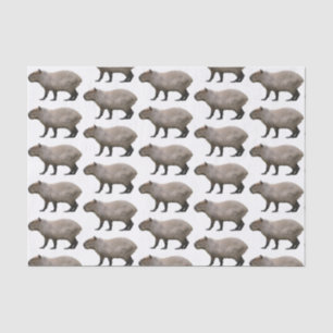 Capybara Seidenpapier