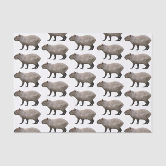 Capybara Seidenpapier (Vorderseite)