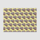 Capybara Seidenpapier (Vorderseite)