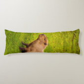 Capybara Seitenschläferkissen (Vorderseite)