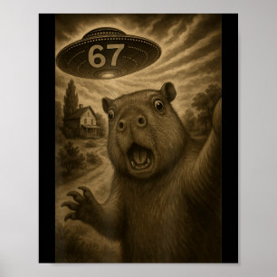 Capybara-Selfie 67 Meme Six Seven Lustiges Ufo  Poster
