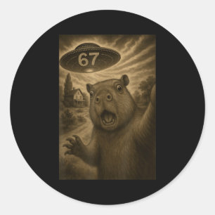 Capybara-Selfie 67 Meme Six Seven Lustiges Ufo Runder Aufkleber