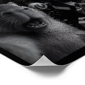Capybara Selfie With Santa Funny Capybara For Men  Poster (Ecke)