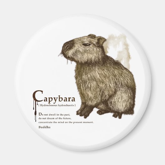 capybara - sepia magnet (Vorne)