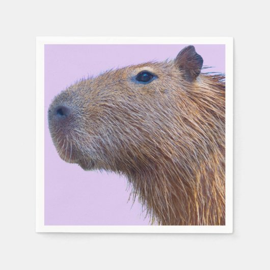 Capybara Serviette (Vorderseite)