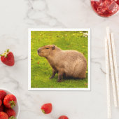 Capybara Serviette (Beispiel)