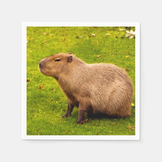 Capybara Serviette (Vorderseite)
