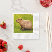 Capybara Serviette (Beispiel)