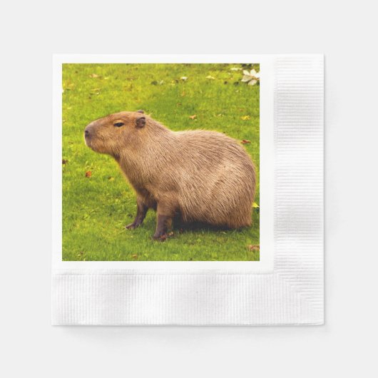 Capybara Serviette (Vorderseite)