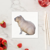 Capybara Serviette (Beispiel)