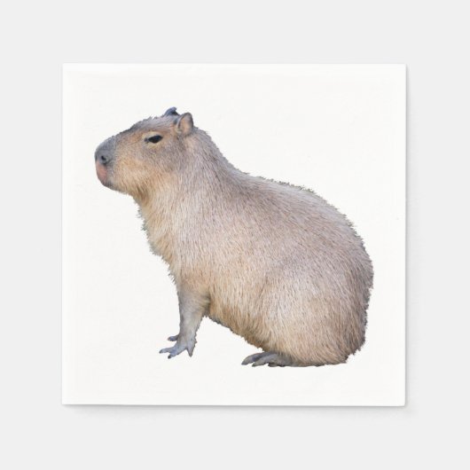 Capybara Serviette (Vorderseite)