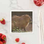Capybara Serviette (Beispiel)