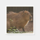 Capybara Serviette (Vorderseite)